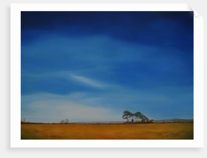 Milford on Sea, Lymington 2016 by Antonia Myatt