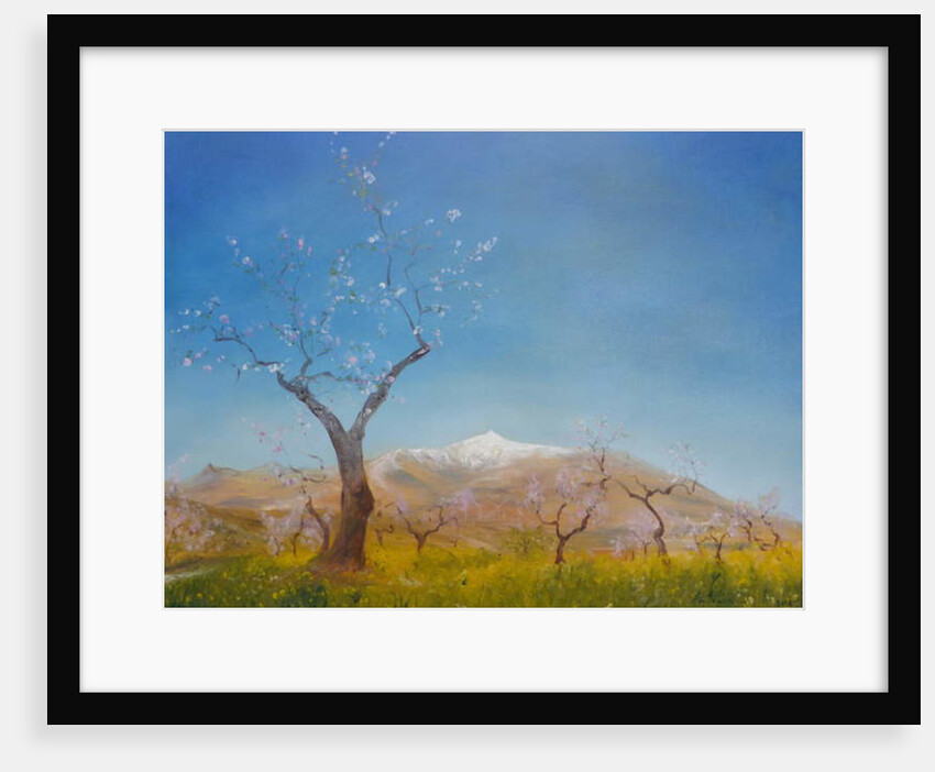 Almond Blossom with Snow Capped Sierra Nevada Mountain, 2016 by Antonia Myatt
