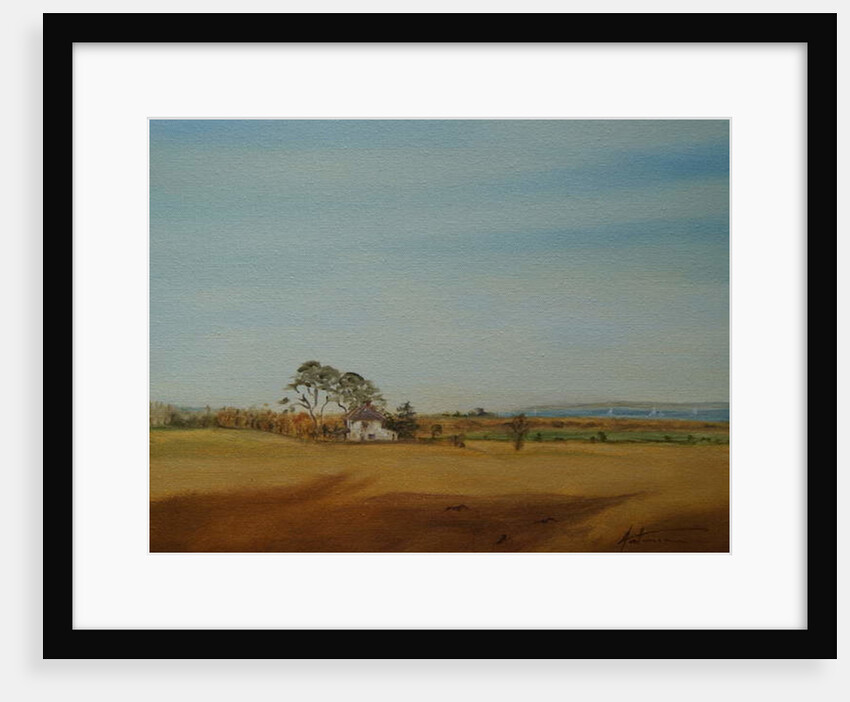 House and Fields, 2016 by Antonia Myatt