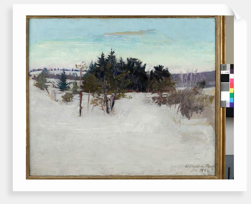 Winter Landscape, 1902 by Abbott Handerson Thayer