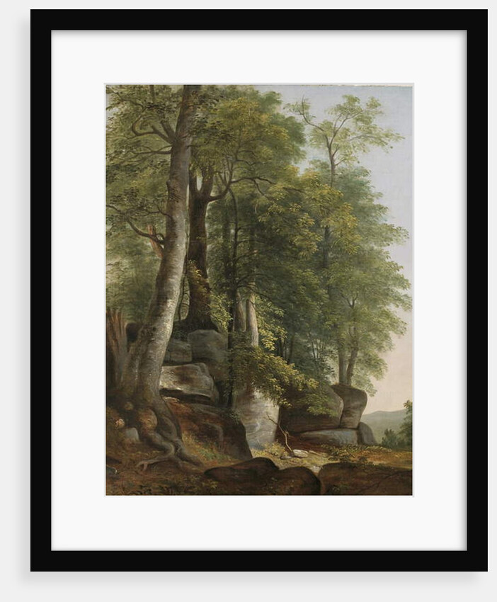 Landscape with Rocks and Trees, c.1845 by Asher Brown Durand