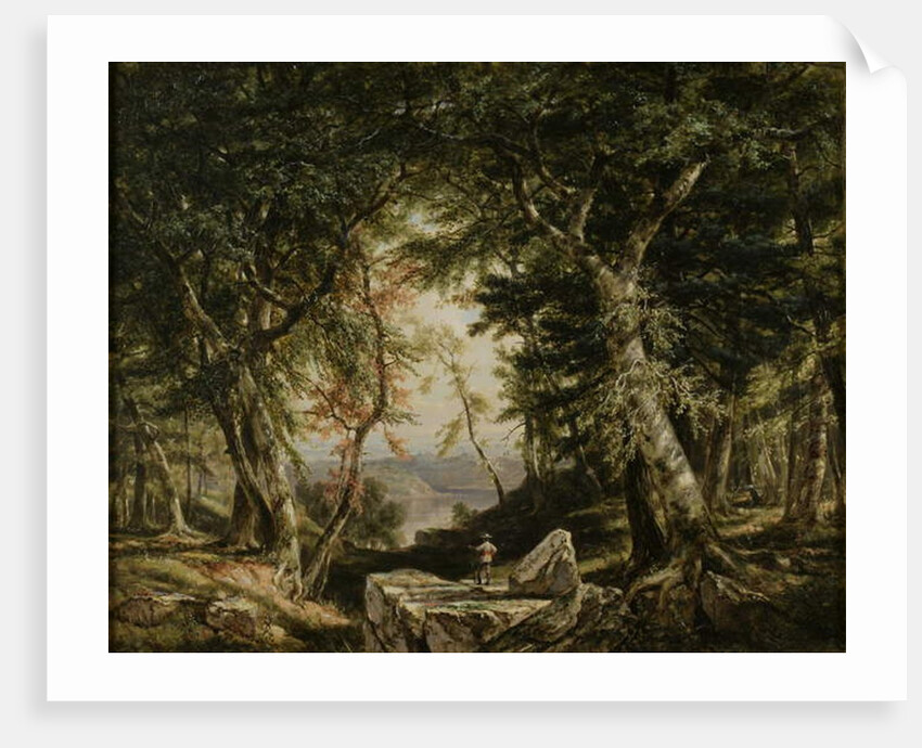 Glimpses from the Forest, 1856 by Daniel Huntington