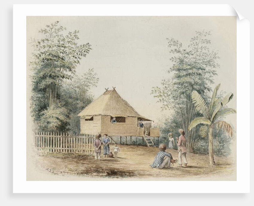 Native House Near Manila, 1842 by Alfred Thomas Agate
