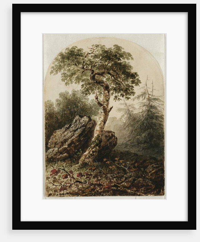Landscape with Birch Tree, 1859 by Owen G. Hanks