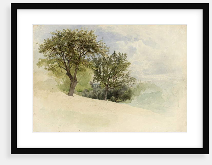 Landscape with Trees on a Hillside, 1880-85 by William Trost Richards