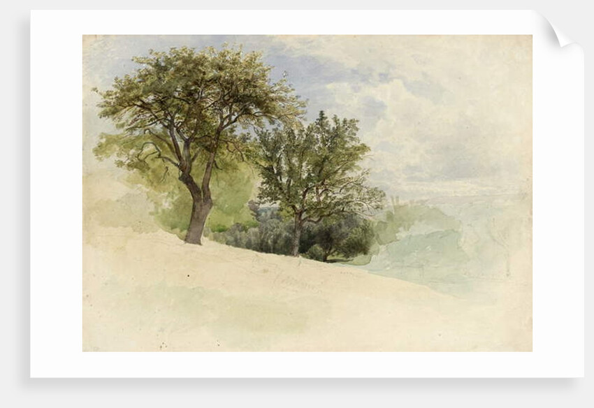 Landscape with Trees on a Hillside, 1880-85 by William Trost Richards