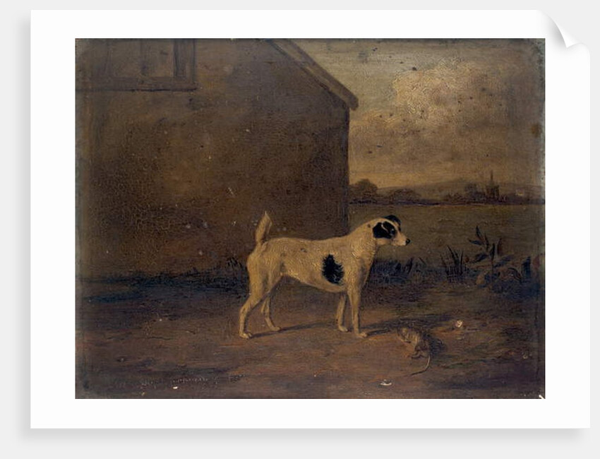 Waterloo Spot, 1816 by William Henry Davis