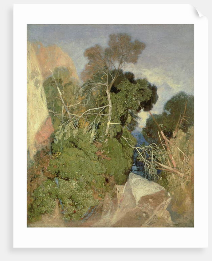 Silver Birches by John Sell Cotman