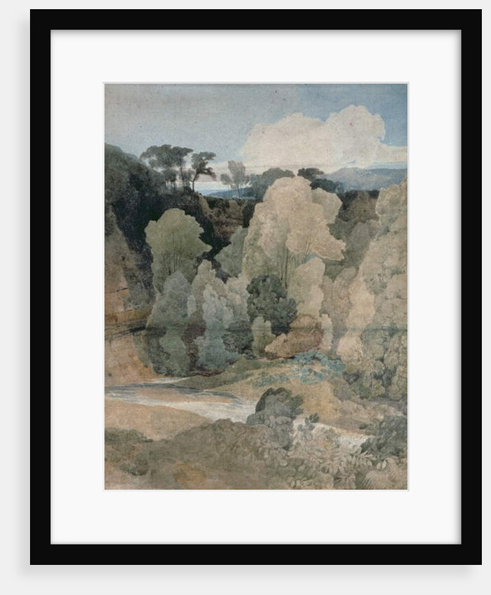 Devil's Elbow, Rokeby Park, c.1806-7 by John Sell Cotman