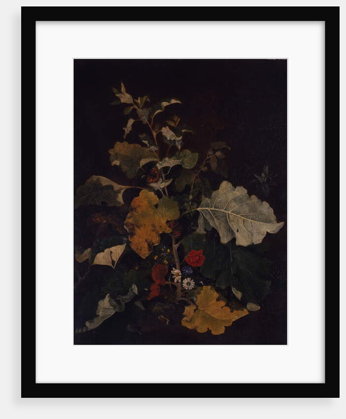 Study of a Burdock by John Crome