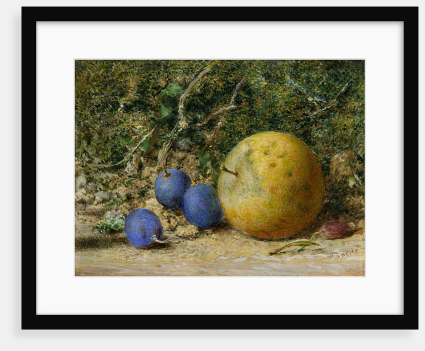 Three Grapes and an Apple by William Henry Hunt