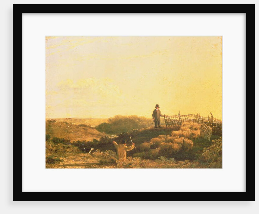 Penning the Flock by James Stark