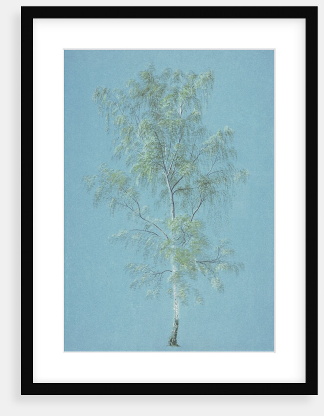Birch tree by William Turner
