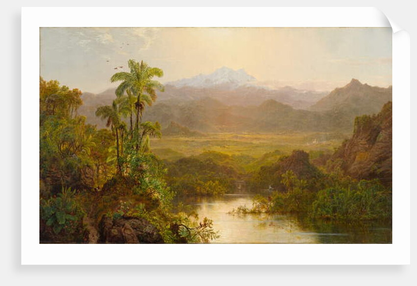 Landscape in Ecuador, 1859 by Louis Remy Mignot