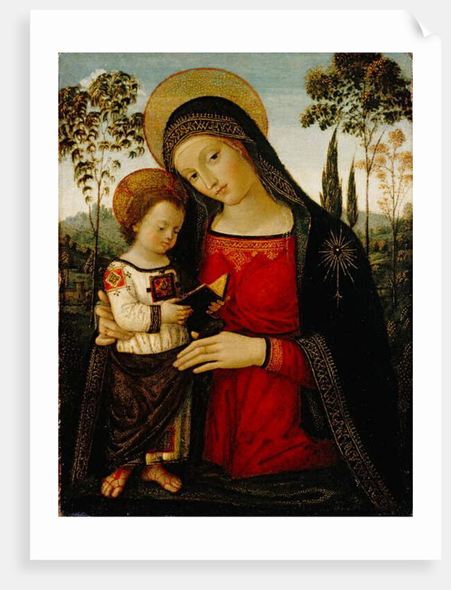 Madonna and Child, c.1490-1495 by Bernardino di Betto Pinturicchio