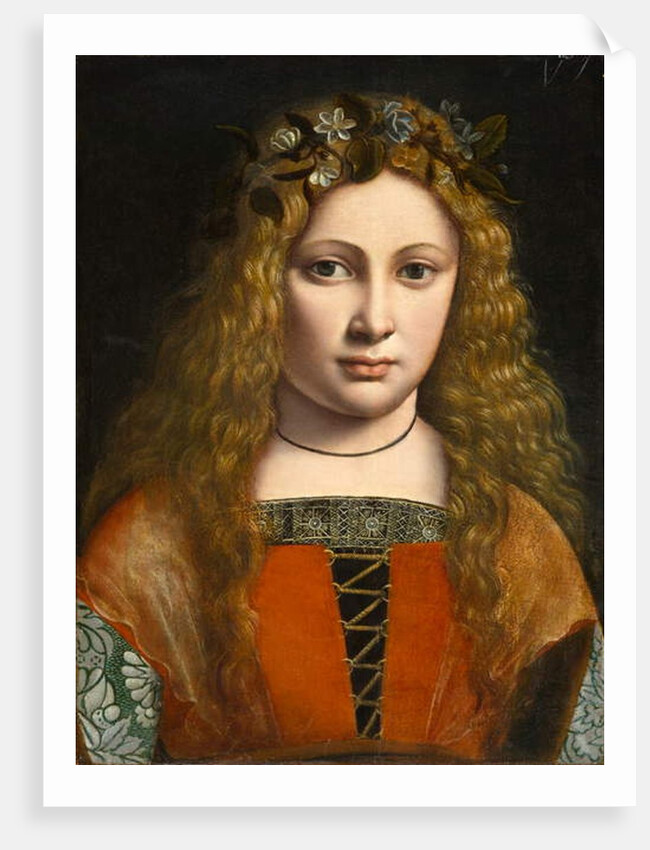Portrait of a Young Girl Crowned with Flowers, c.1490 by Giovanni Antonio Boltraffio