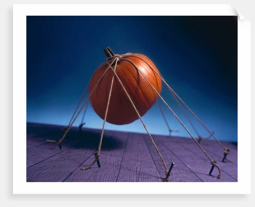 Tethered Pumpkin, 1996 by Norman Hollands