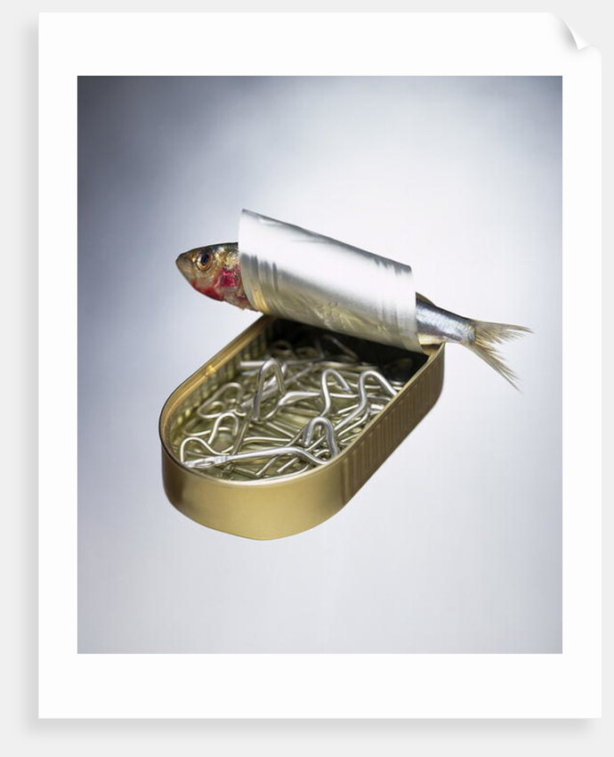 Sardine Can Inversion, 1997 by Norman Hollands