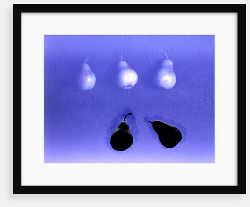 Blue Pears 2005 by Norman Hollands