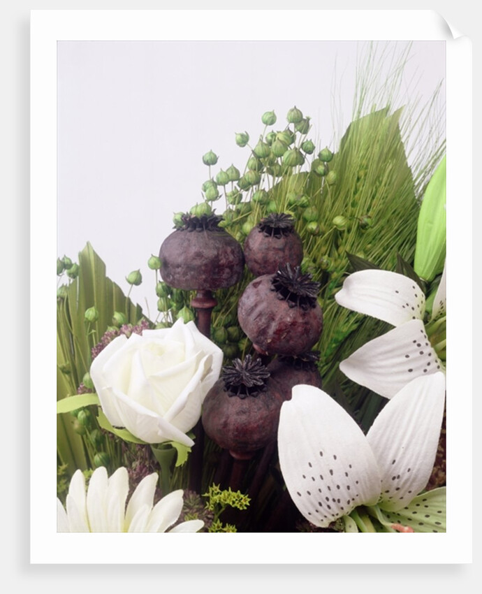 Seed pod Bouquet, 1999 by Norman Hollands