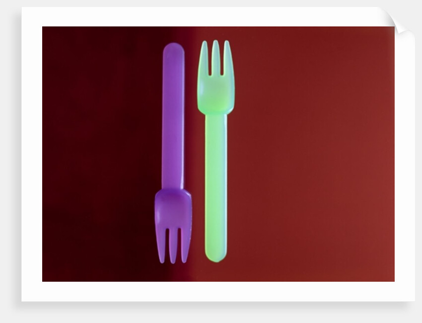 Two Forks 2002 by Norman Hollands