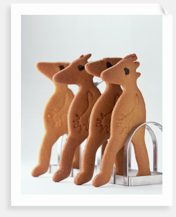 Gingerbread creatures 2003 by Norman Hollands