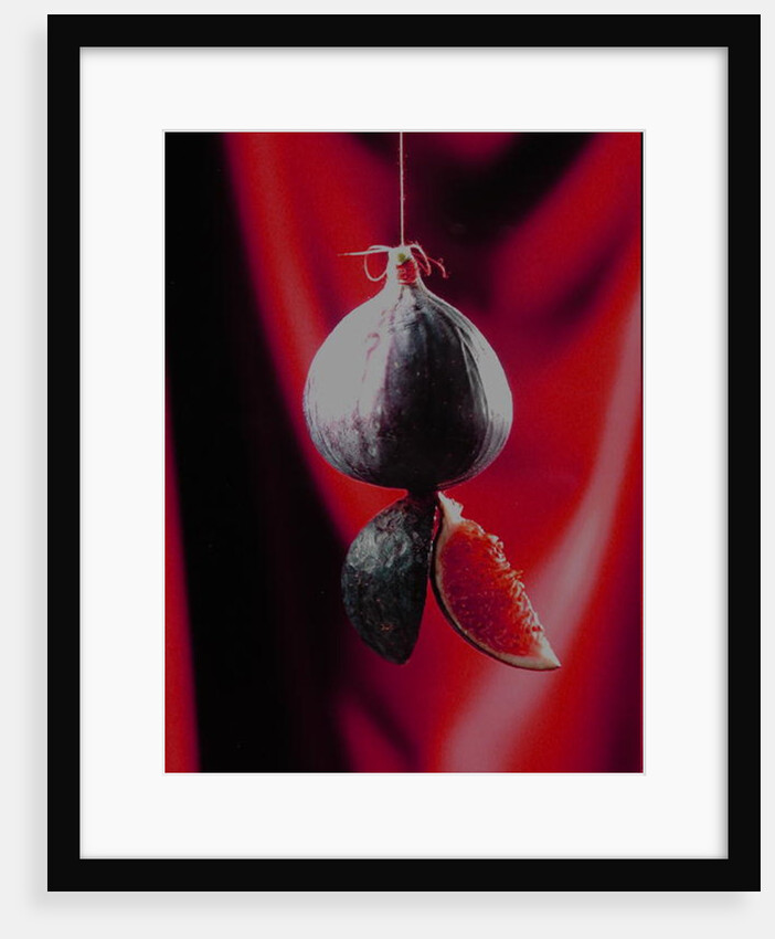 Fig on a string with segments, 2003 by Norman Hollands