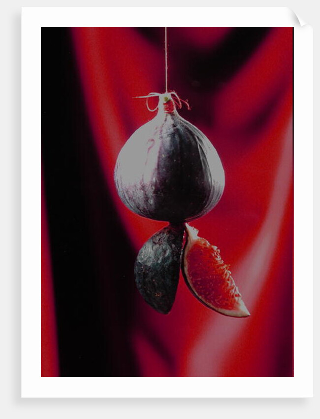 Fig on a string with segments, 2003 by Norman Hollands