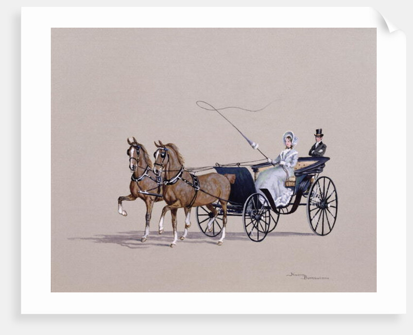 Park Phaeton, 1972 by Ninetta Butterworth