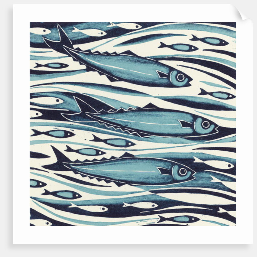 Sprats, 2004 by Nat Morley