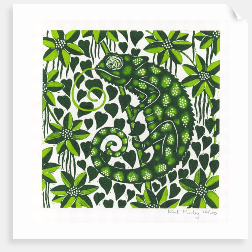 Chameleon, 2003 by Nat Morley