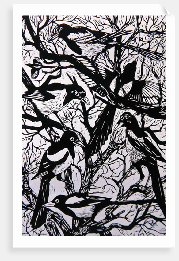 Magpies, 1997 by Nat Morley