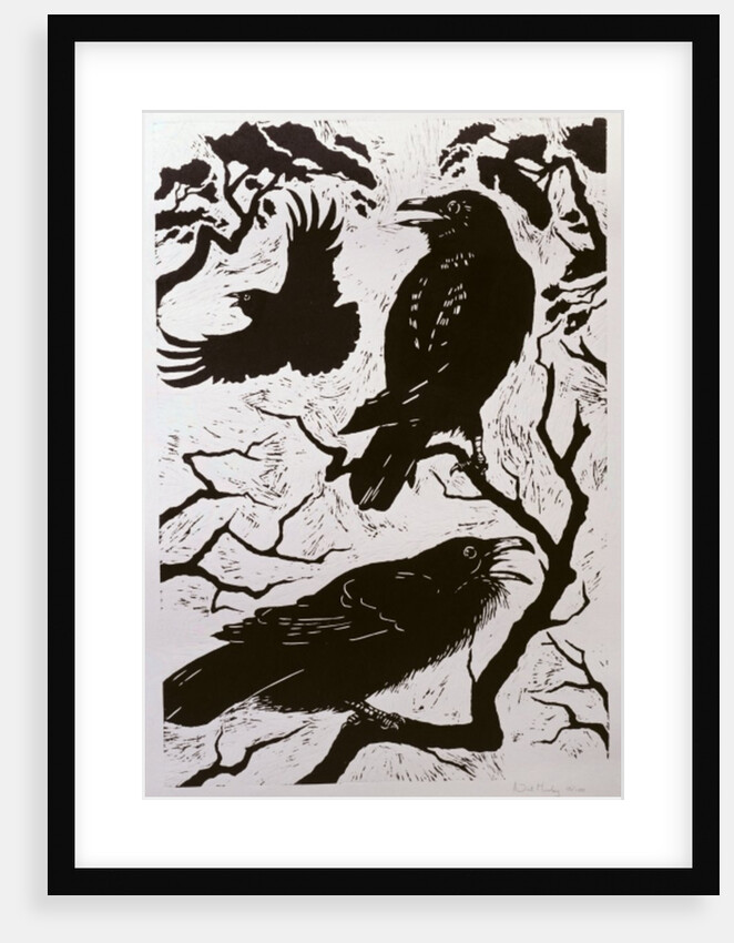 Ravens, 1998 by Nat Morley