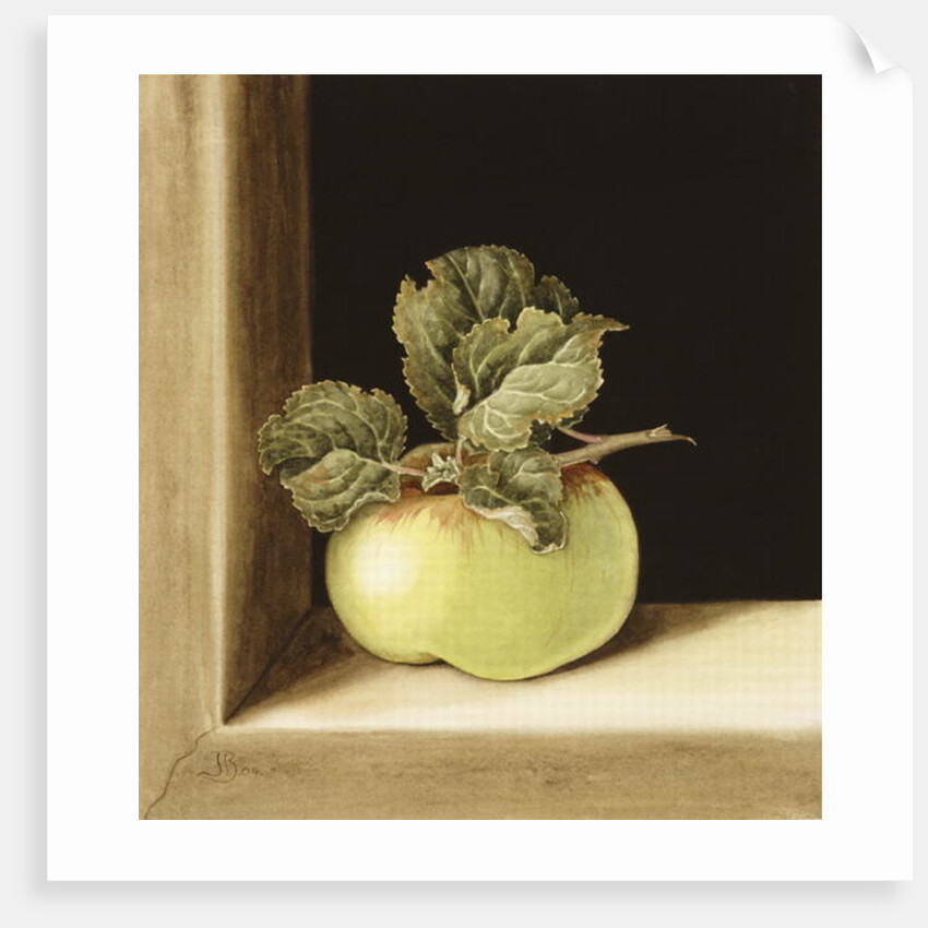 Apple by Jenny Barron