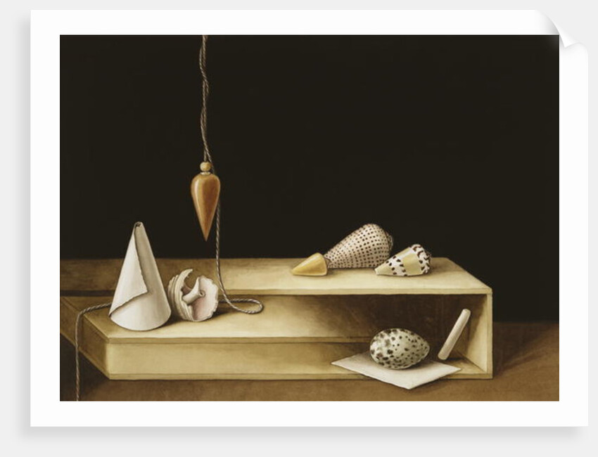 Optical Illusion, 2005 by Jenny Barron