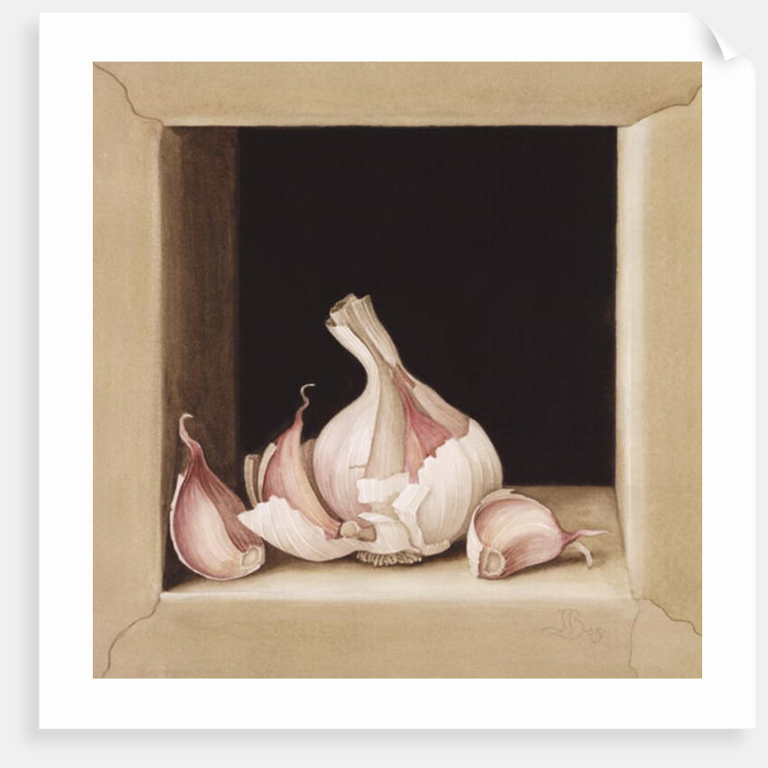 Garlic, 2005 by Jenny Barron