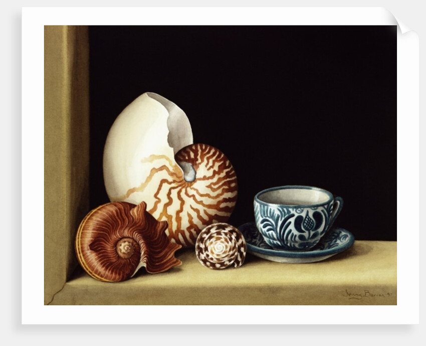 Still life with Nautilus, 1998 by Jenny Barron
