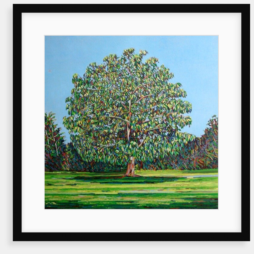 Bow Tree Summer, by Noel Paine