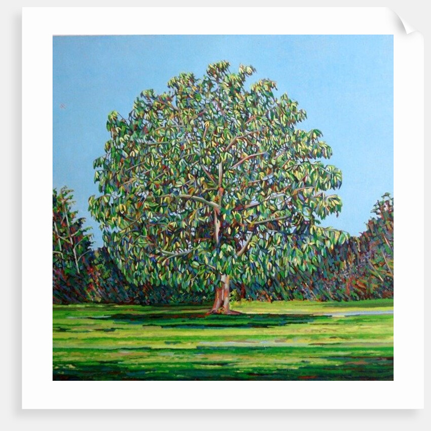 Bow Tree Summer, by Noel Paine