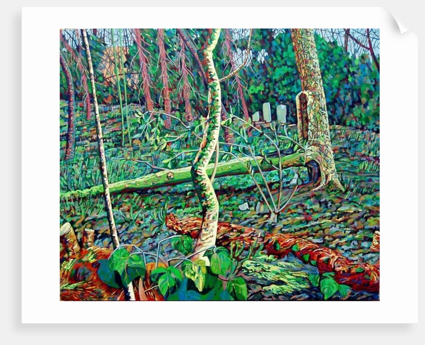 Bow Trench 2 by Noel Paine