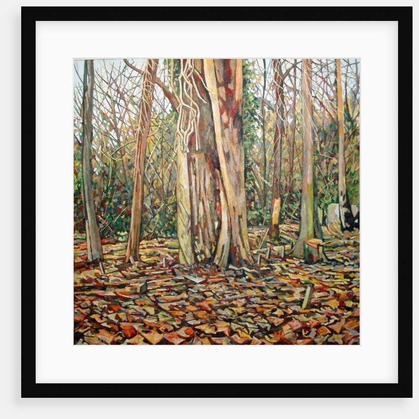 Winter Trunk, 2010 by Noel Paine