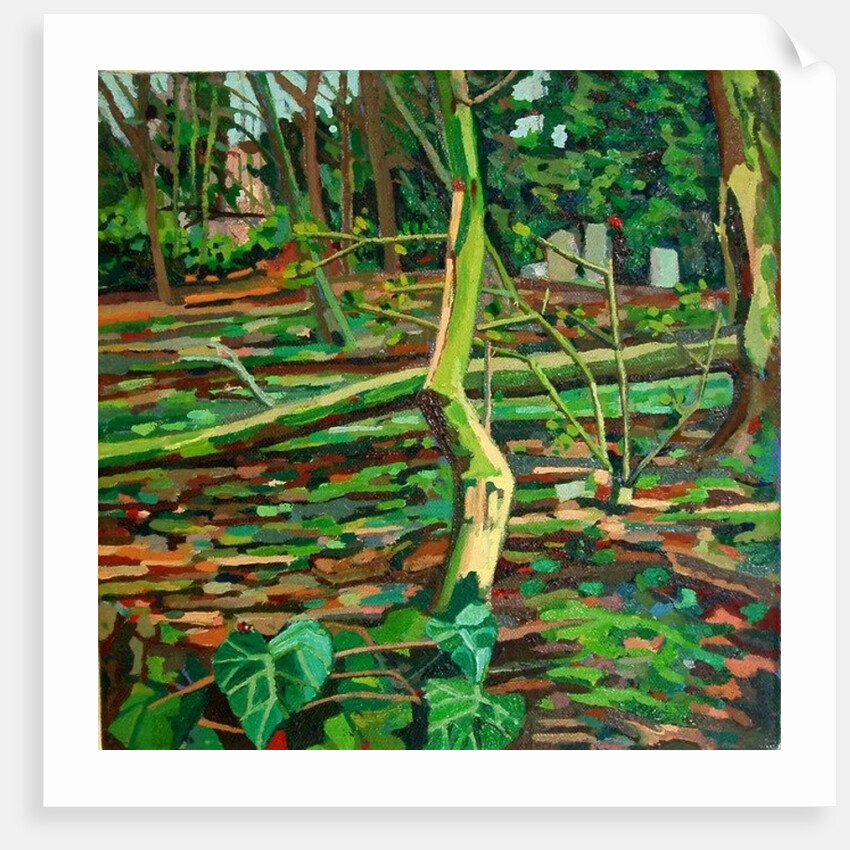 Study for Bow Trench by Noel Paine