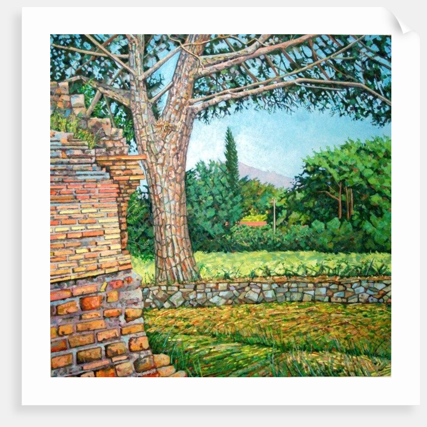 Appia Antica, View, 2008 by Noel Paine