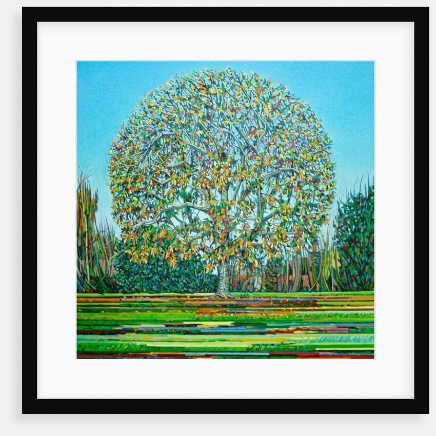 Bow Tree Autumn, by Noel Paine