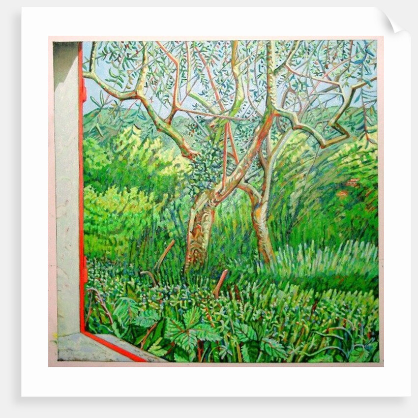 The Orange Edge of the Barn, 2011 by Noel Paine