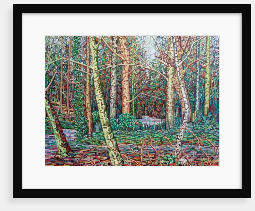 The January Path, by Noel Paine