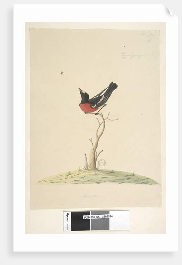 Page 25. Car,ral,gar,yei,sar by Unknown artist