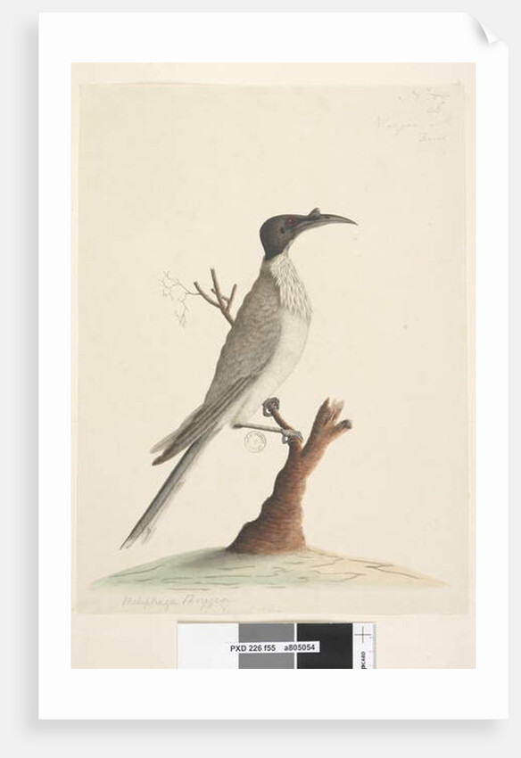 Page 55. Wer,gan or the Friar by Unknown artist