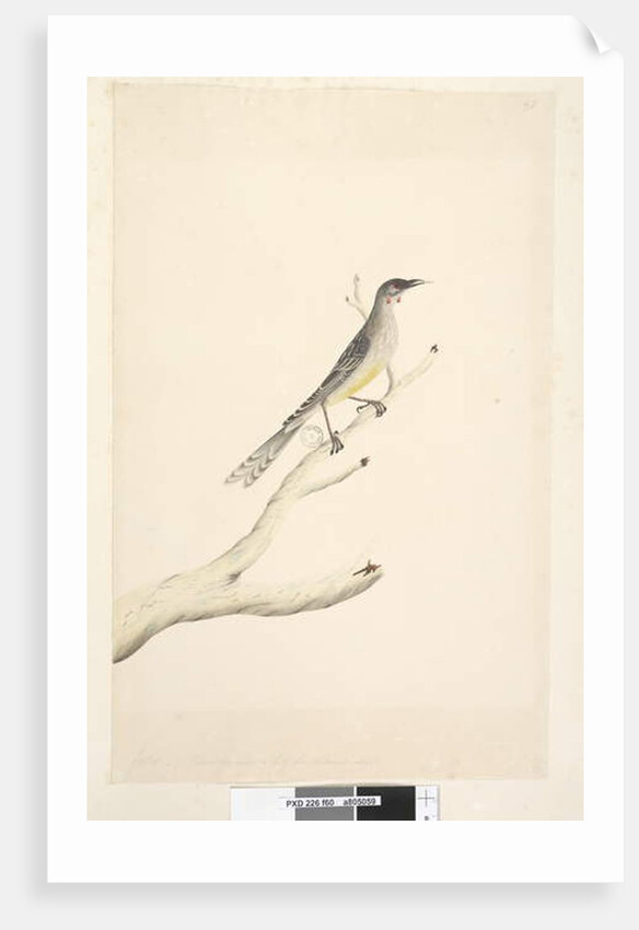 Page 60. June by Unknown artist