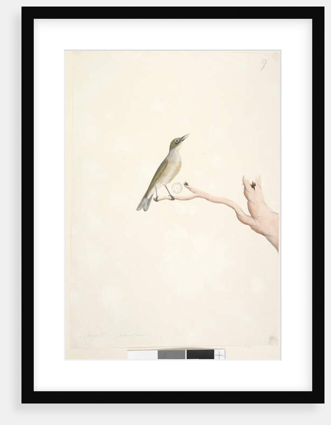 Page 66. August by Unknown artist
